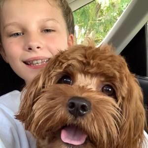 Meet your Posher, Jacqui